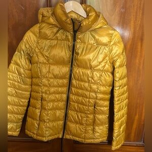 Calvin Klein Gold and Black Puffer Jacket with hood